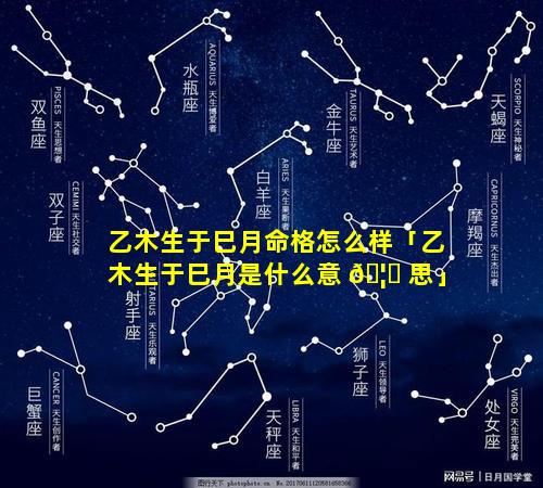 乙木生于巳月命格怎么样「乙木生于巳月是什么意 🦆 思」